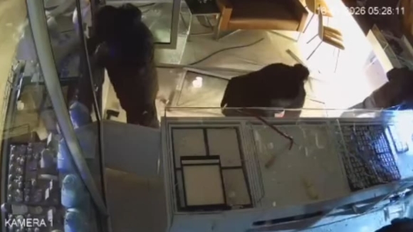 2 Bang Cuop Dung O To Tong Sap Cua Hang Trang Suc Tai Duisburg