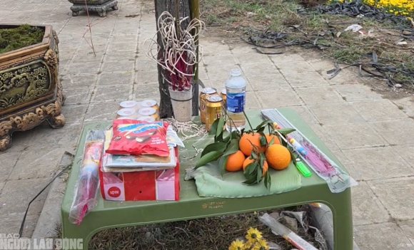 3 Dao No Tham Pho Phuong Tieu Thuong Danh Phai Chat Bo Cay Khong Kip Vao Tet