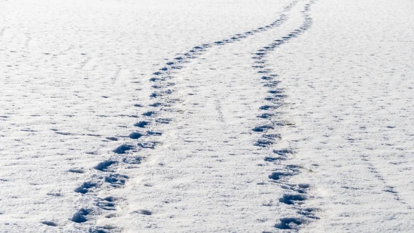 1 Dau Chan Tren Tuyet Vach Tran Hai Ke Trom Vung Ve Tai Duc