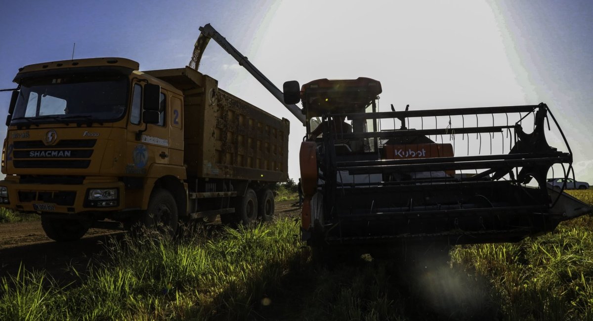 1 Tai Cuba Hon 1000 Tan Lua Dang Say Do Thi Mat Dien Chuyen Gia Viet Nam Phai Dua Bat Chuyen Dung Sang Dephoi