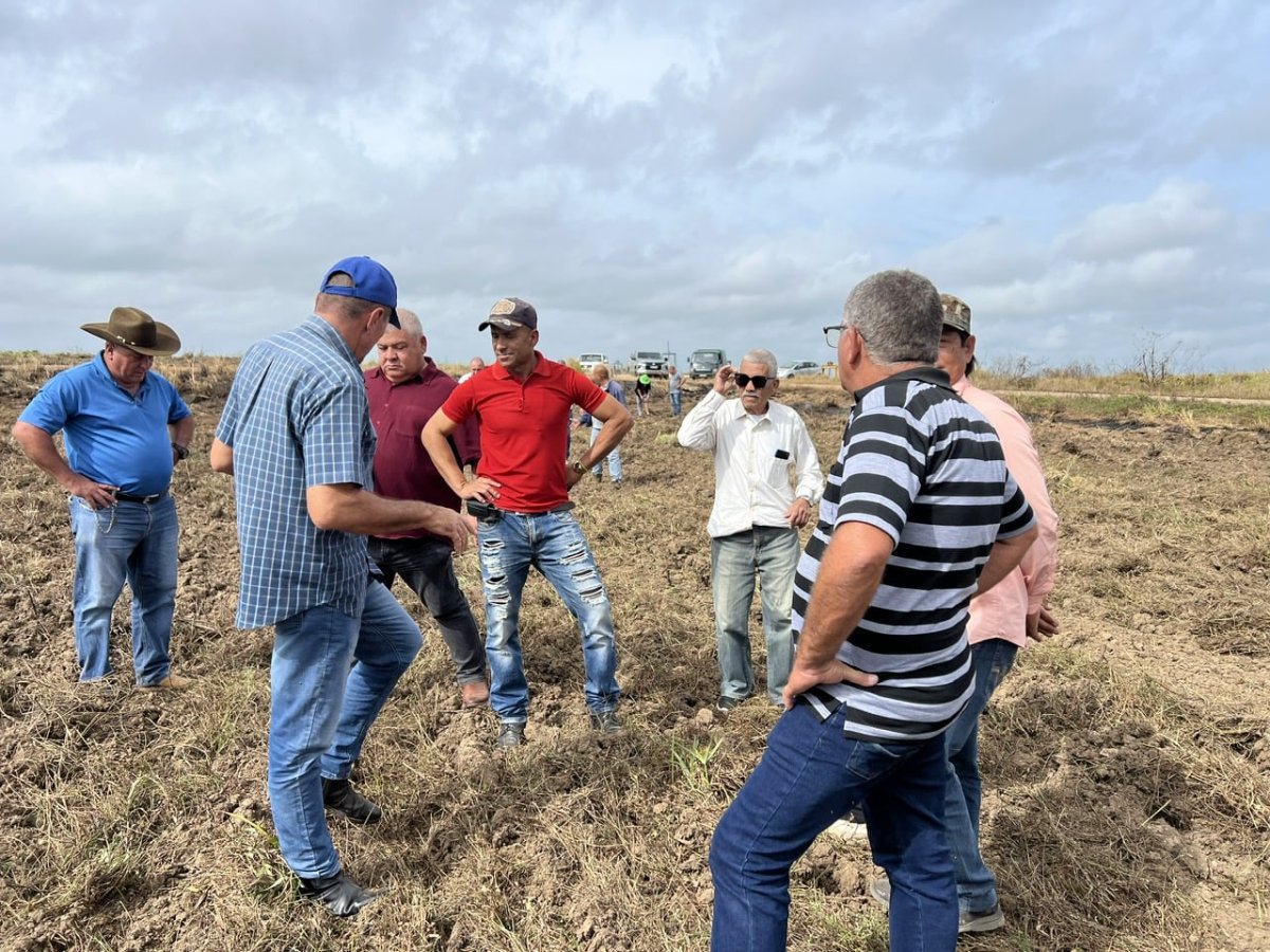 2 Tai Cuba Hon 1000 Tan Lua Dang Say Do Thi Mat Dien Chuyen Gia Viet Nam Phai Dua Bat Chuyen Dung Sang Dephoi