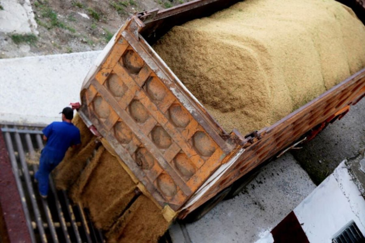 3 Tai Cuba Hon 1000 Tan Lua Dang Say Do Thi Mat Dien Chuyen Gia Viet Nam Phai Dua Bat Chuyen Dung Sang Dephoi