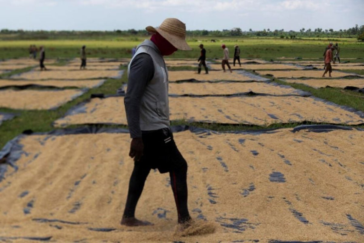 4 Tai Cuba Hon 1000 Tan Lua Dang Say Do Thi Mat Dien Chuyen Gia Viet Nam Phai Dua Bat Chuyen Dung Sang Dephoi