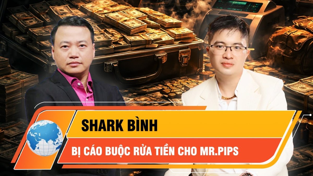1 Shark Binh Bi Cao Buoc Rua Tien Cho Mr Pips Qua Vi Ngan Luong