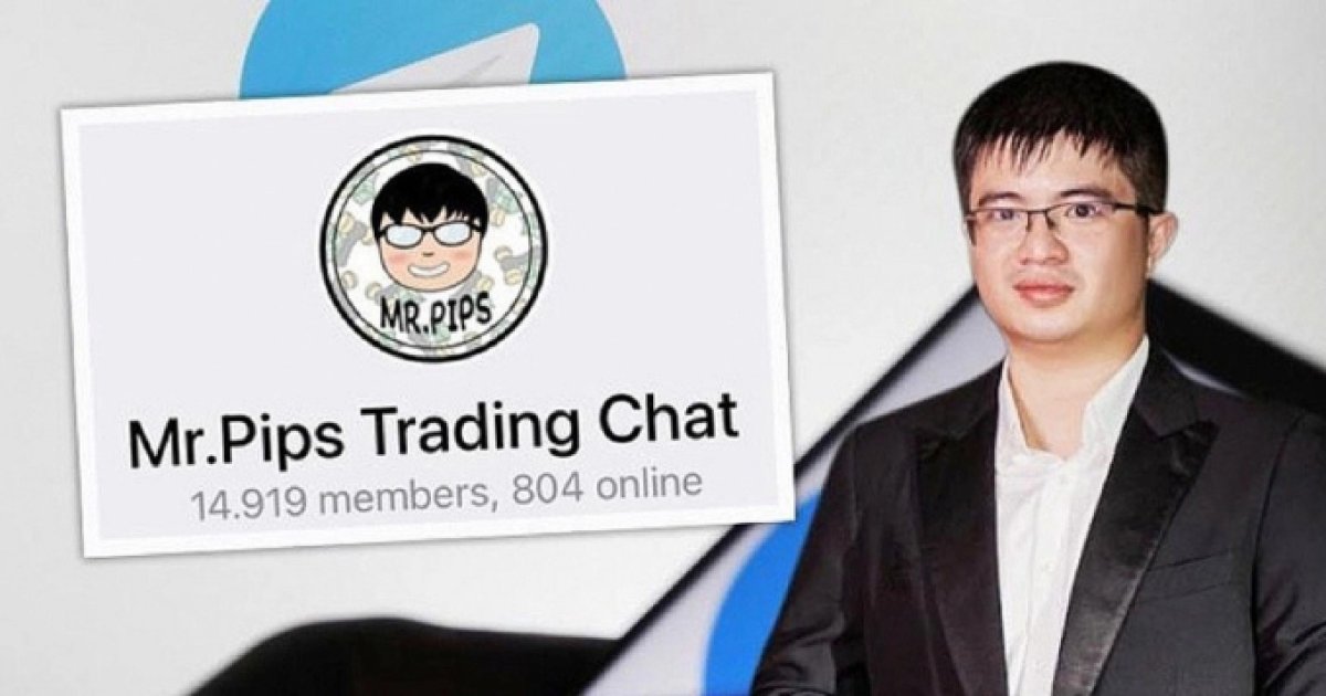 3 Shark Binh Bi Cao Buoc Rua Tien Cho Mr Pips Qua Vi Ngan Luong