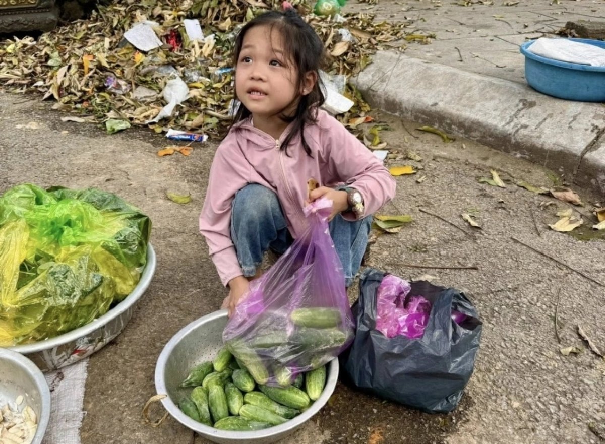 1 Phep Mau 240 Trieu Danh Cho Co Be Mo Coi Ban Rau