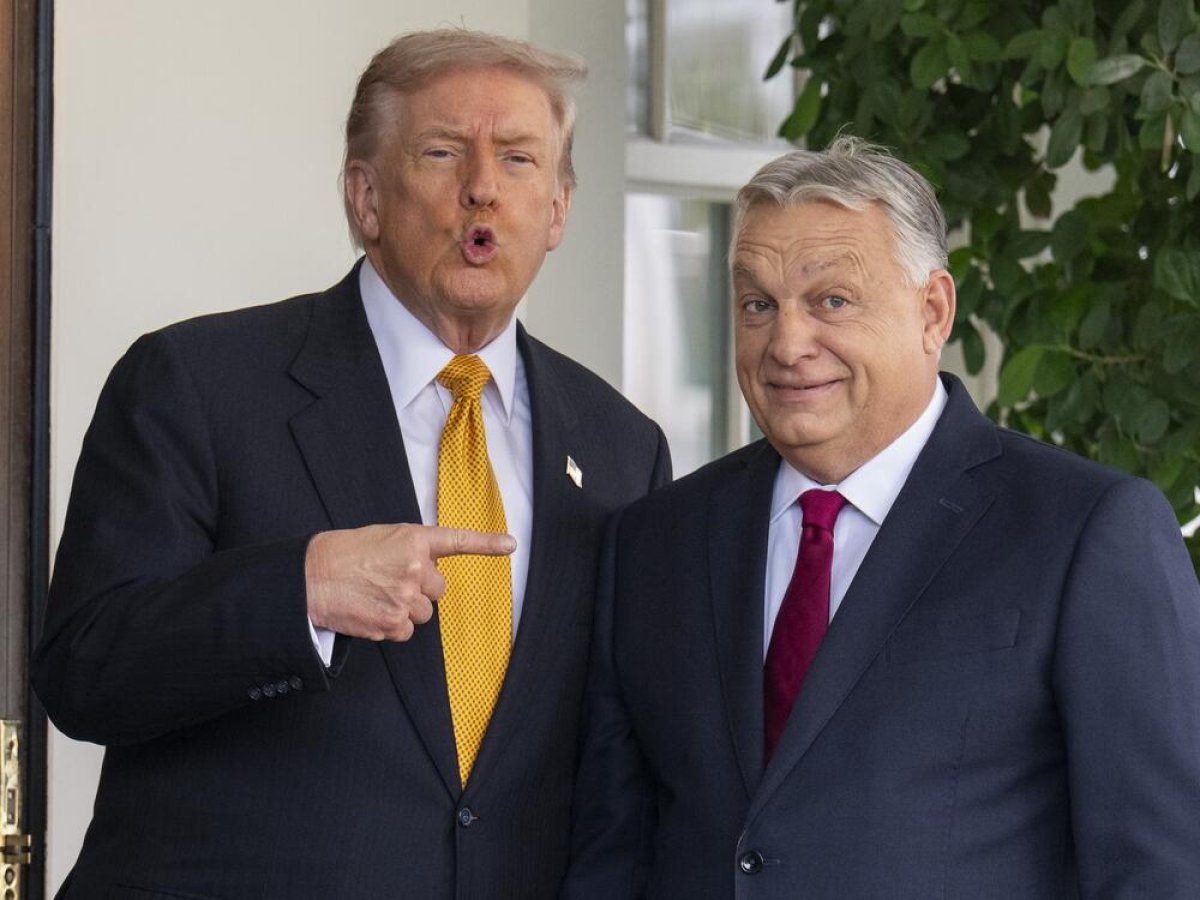 2 Bao Cao Quoc Te Nen Dan Chu My Sut Hang Nghiem Trong Duoi Thoi Tong Thong Trump