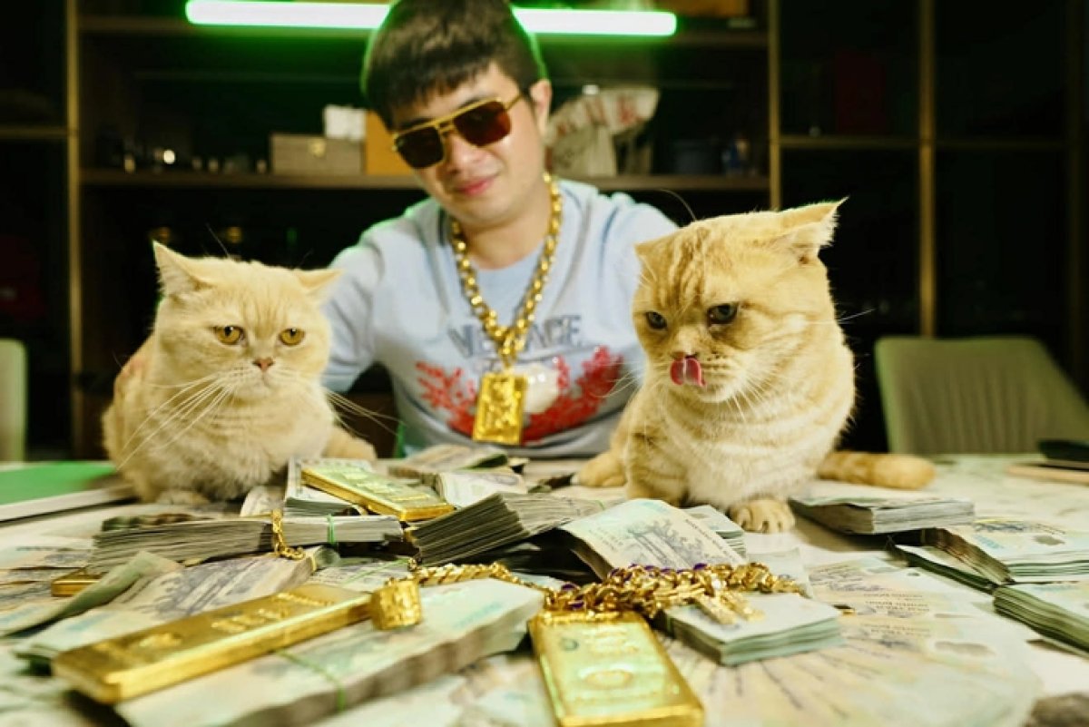 2 Sieu Lua Mr Pips Thue To Tu Van Phap Che Quan Tri Rui Ro Tra Phi 64 Ti