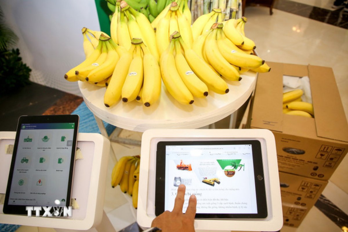 1 Nong San Viet Vuon Xa Hon Nho So Hoa Ly Lich