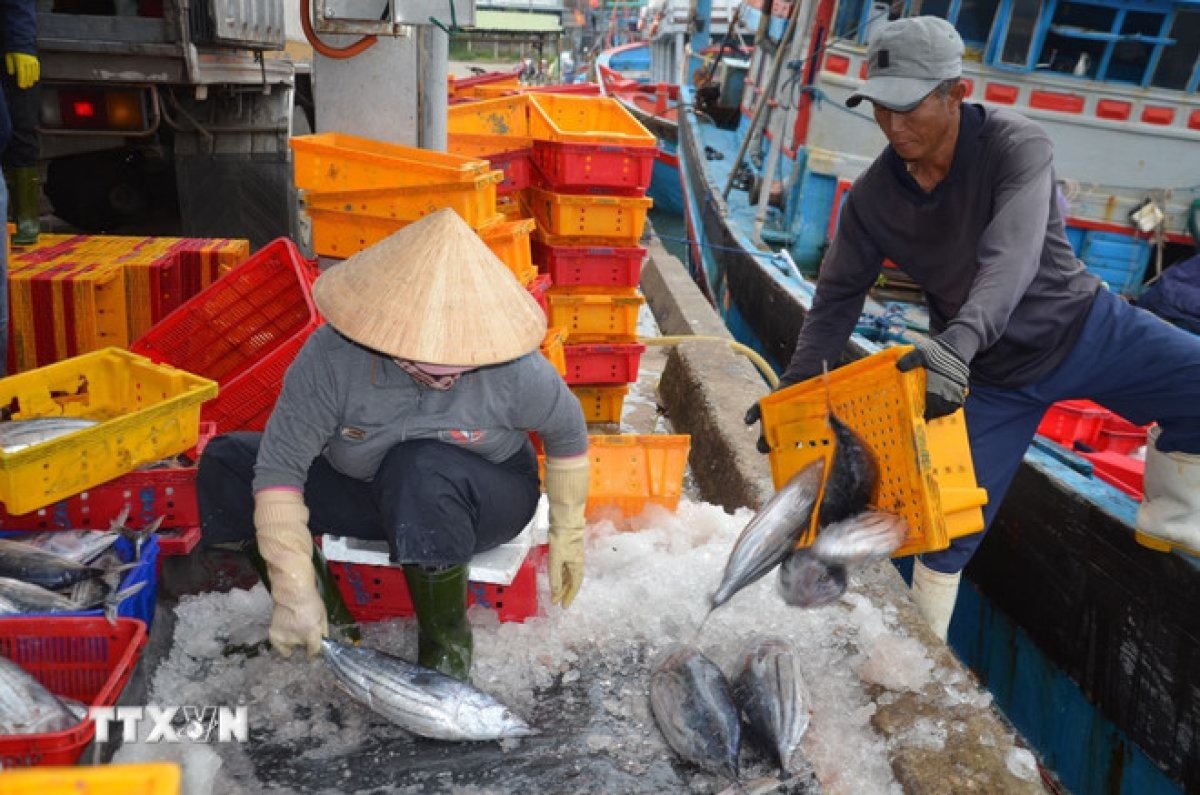 3 Nong San Viet Vuon Xa Hon Nho So Hoa Ly Lich