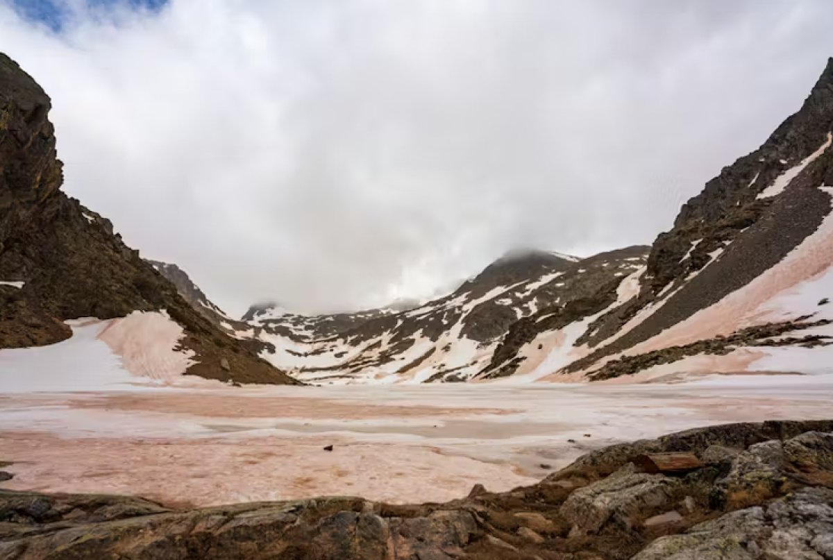 2 Bui Sahara Do Bo Chau Au De Doa Suc Khoe Nguoi Dan