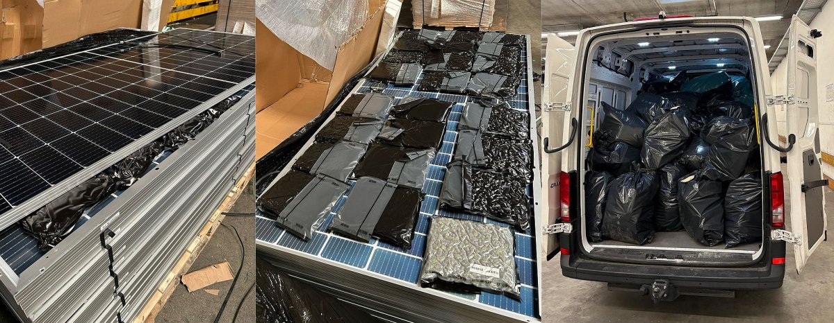 1 Phat Hien Hon 600 Kg Can Sa Giau Tinh Vi Trong Cac Tam Pin Nang Luong Mat Troi Tai Frankfurt