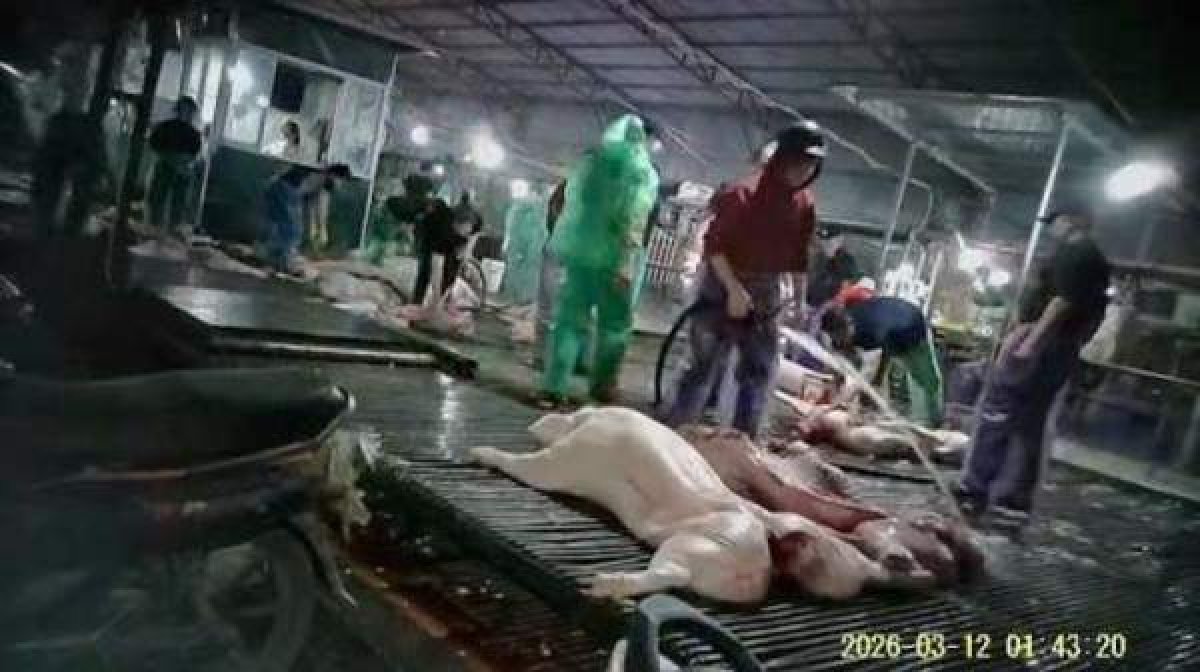 3 Ai Chiu Trach Nhiem De Lon Benh Vao Bua An Cua Nguoi Tieu Dung