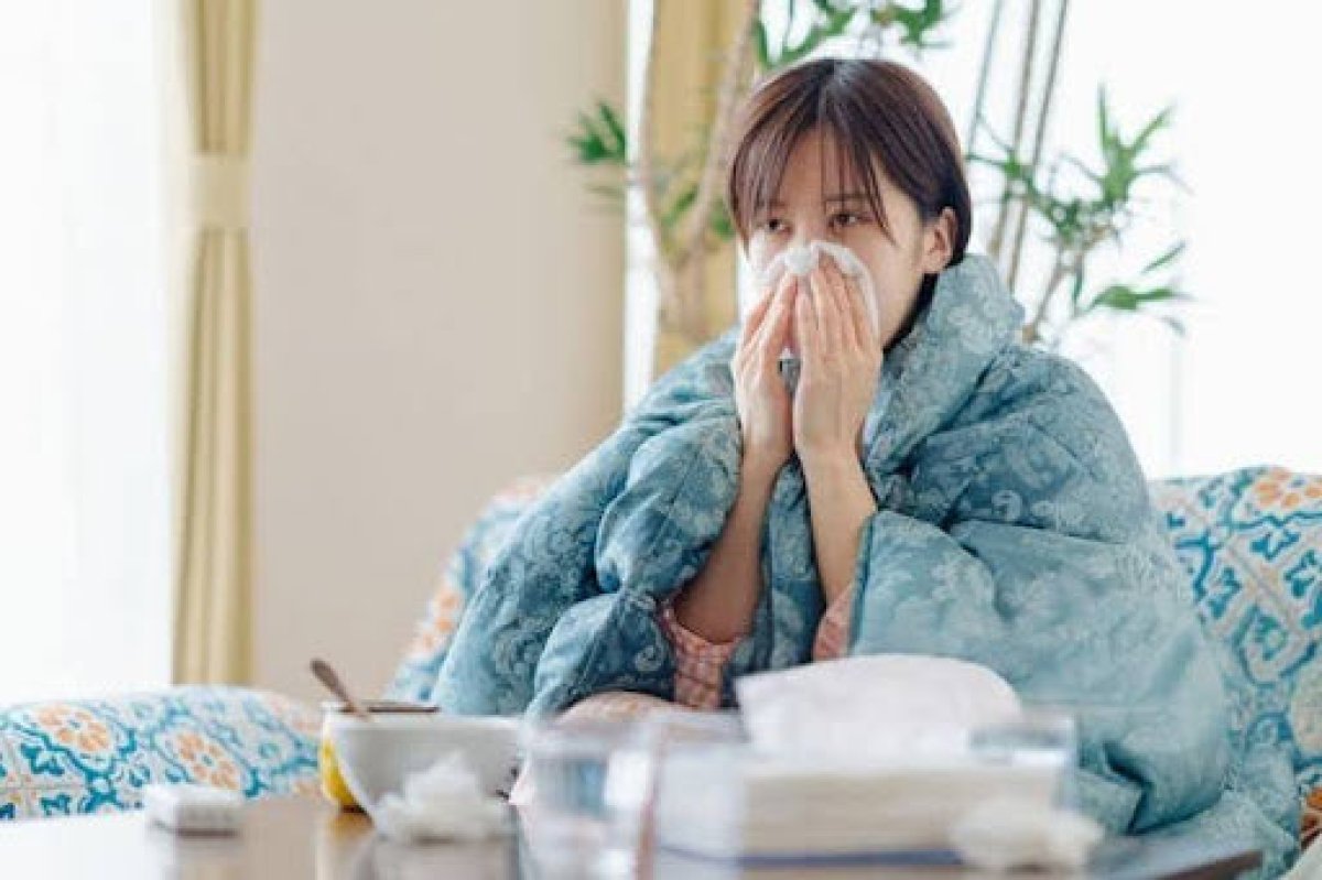 1 Di Ung Phan Hoa Va Cam Cum Khac Nhau The Nao