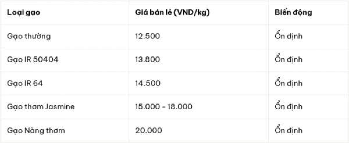 2 Xuat Khau Gao Viet Nam Dat 11 Ty Usd Quy I2026 Gia Ban Duy Tri On Dinh