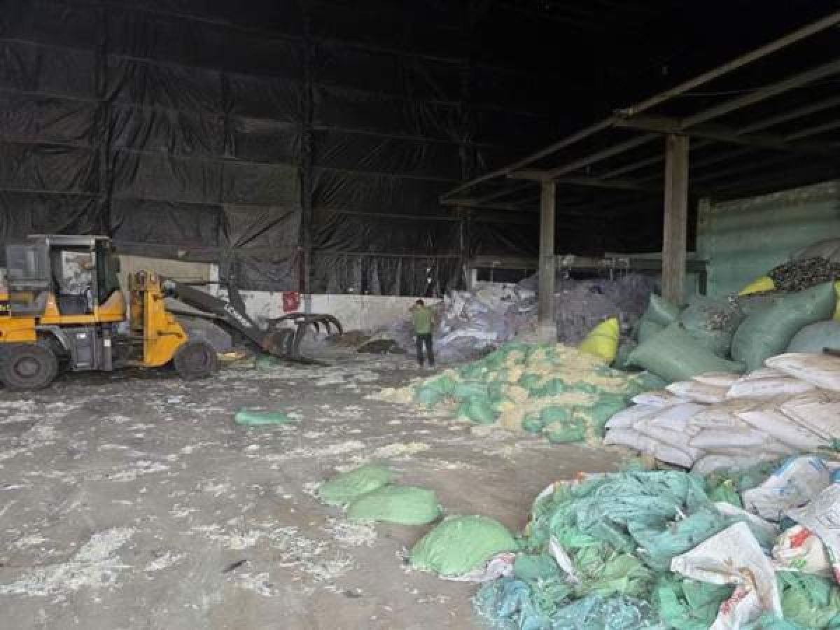 5 Bat Tam Giam Bi Can Cam Dau Duong Day Do Trai Phep Hon 20000 Tan Chat Thai