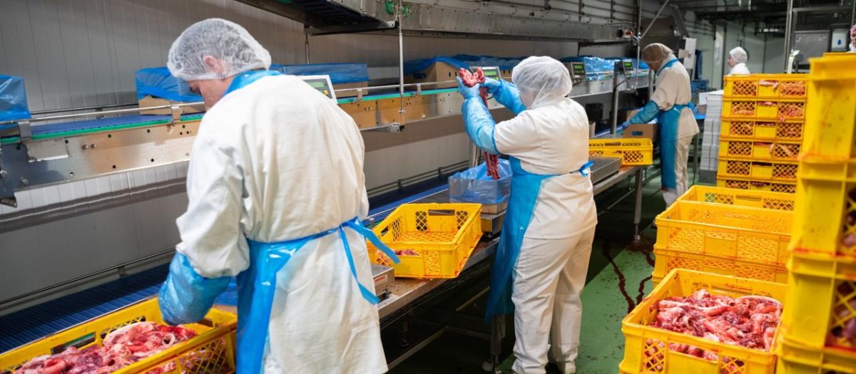 1 Goc Khuat Nganh Cong Nghiep Thit Tai Duc Va Cai Bay Mang Ten No Le Thoi Hien Dai