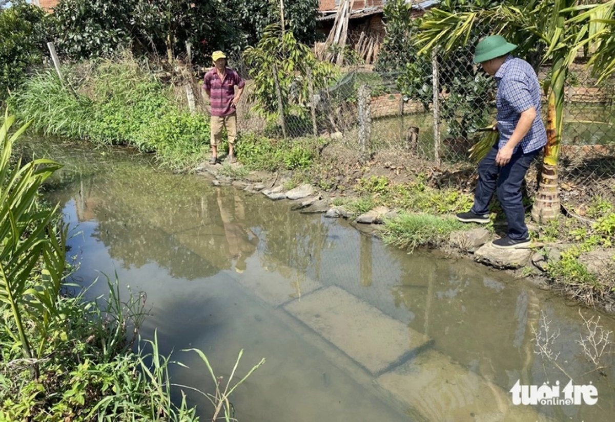 4 Xay Kenh 15 Ti Dong Roi Bo Hoang 10 Nam Nay Xin 50 Ti De Lap