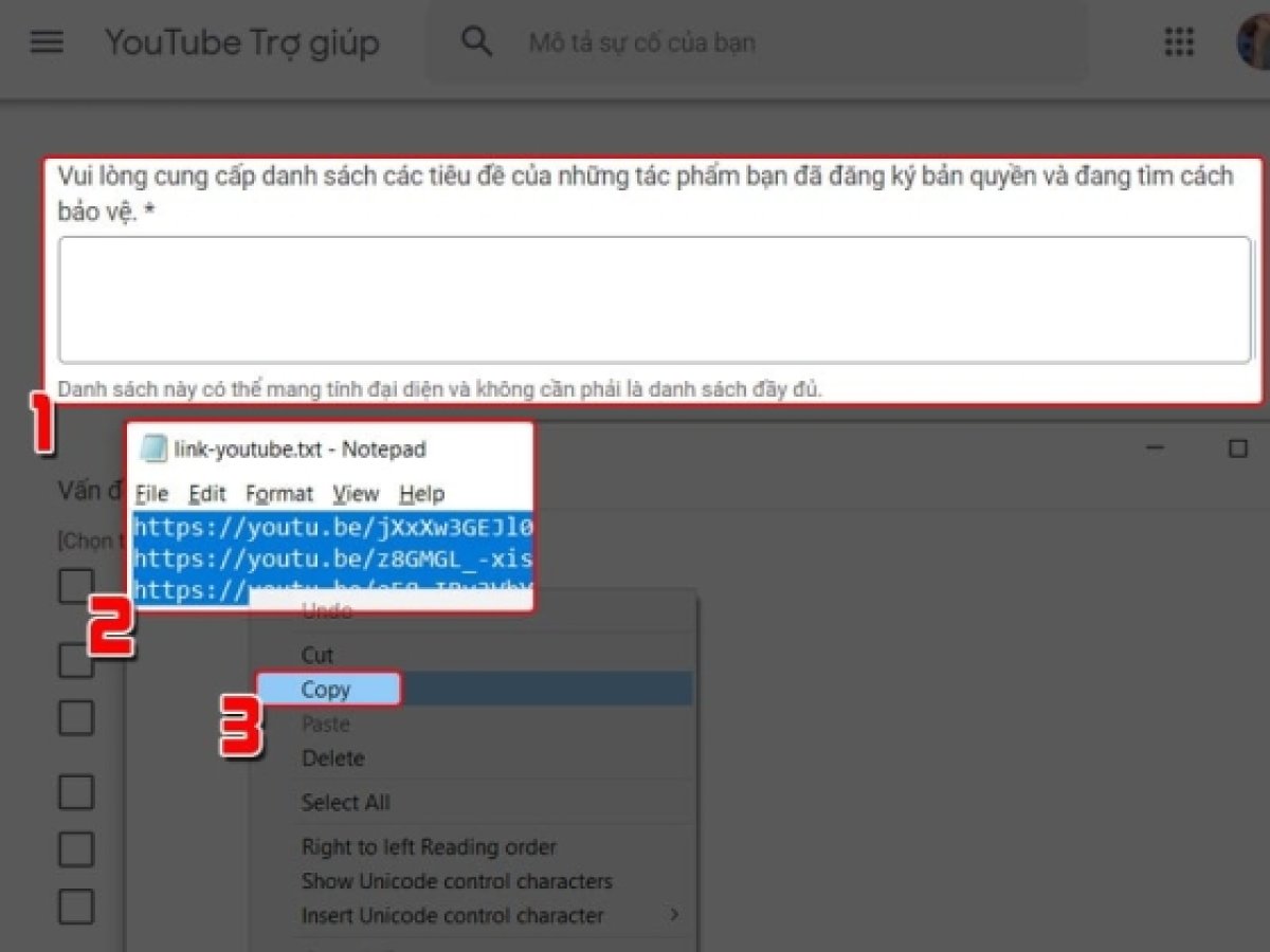 2 Bh Media Lach Luat Tranh Ban Quyen Tren Youtube Dung Chieu Dang Ky Truoc Content Id Ra Sao