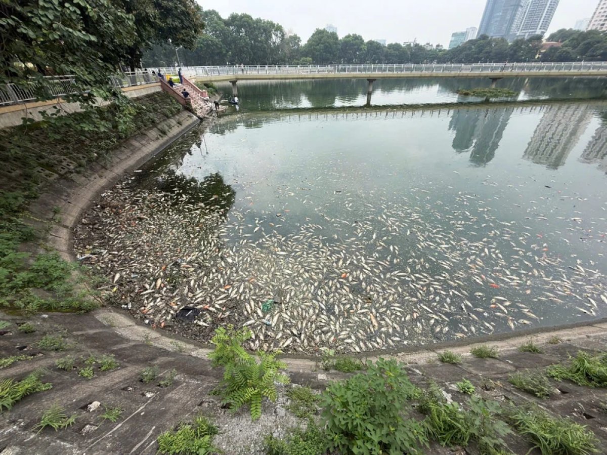 1 Ha Noi Ca Chet Noi Trang Ho Dieu Hoa Cong Vien Nghia Do