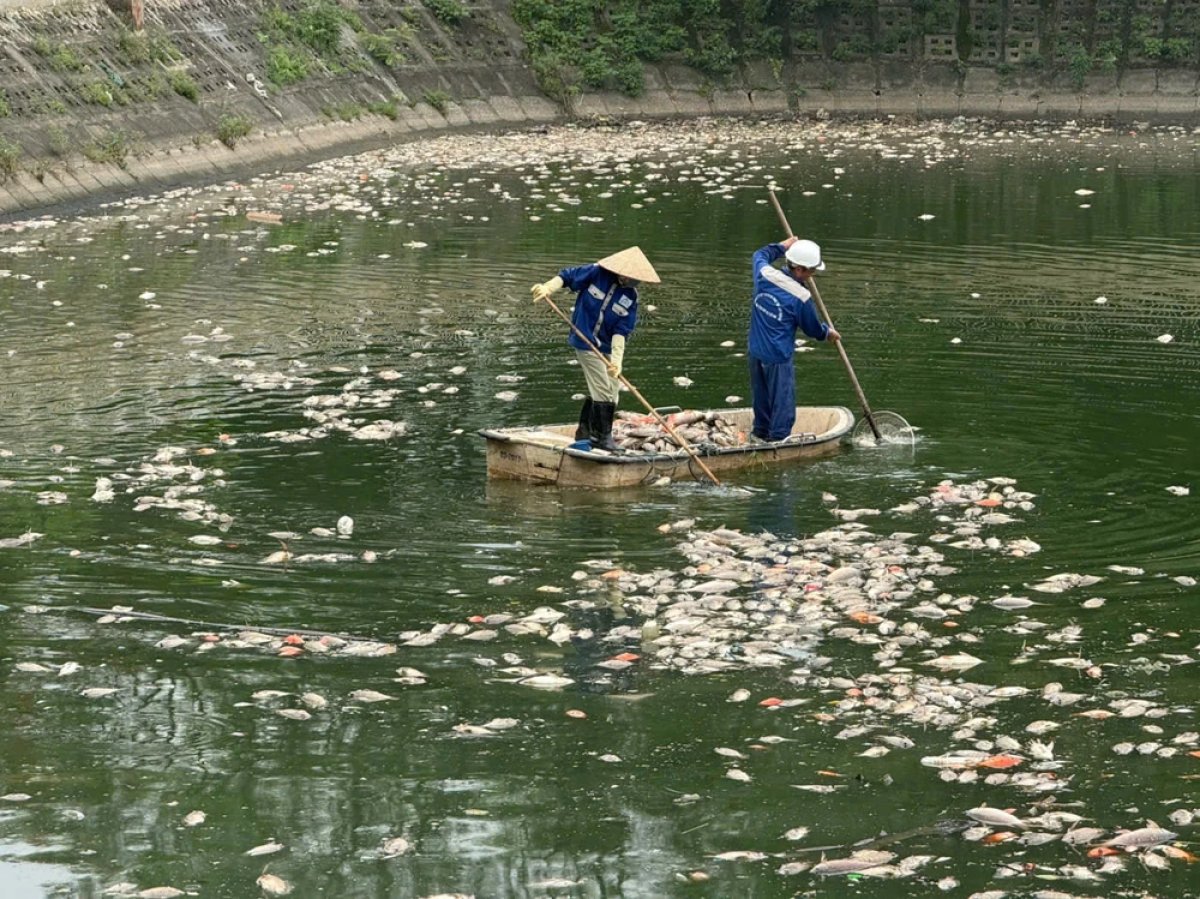2 Ha Noi Ca Chet Noi Trang Ho Dieu Hoa Cong Vien Nghia Do
