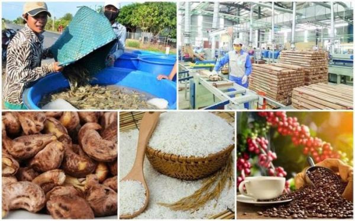 1 Da Tang Truong Hien Tai Mo Ra Kha Nang Xuat Nhap Khau Viet Nam Vuot Moc 1000 Ty Usd Trong Nam 2026