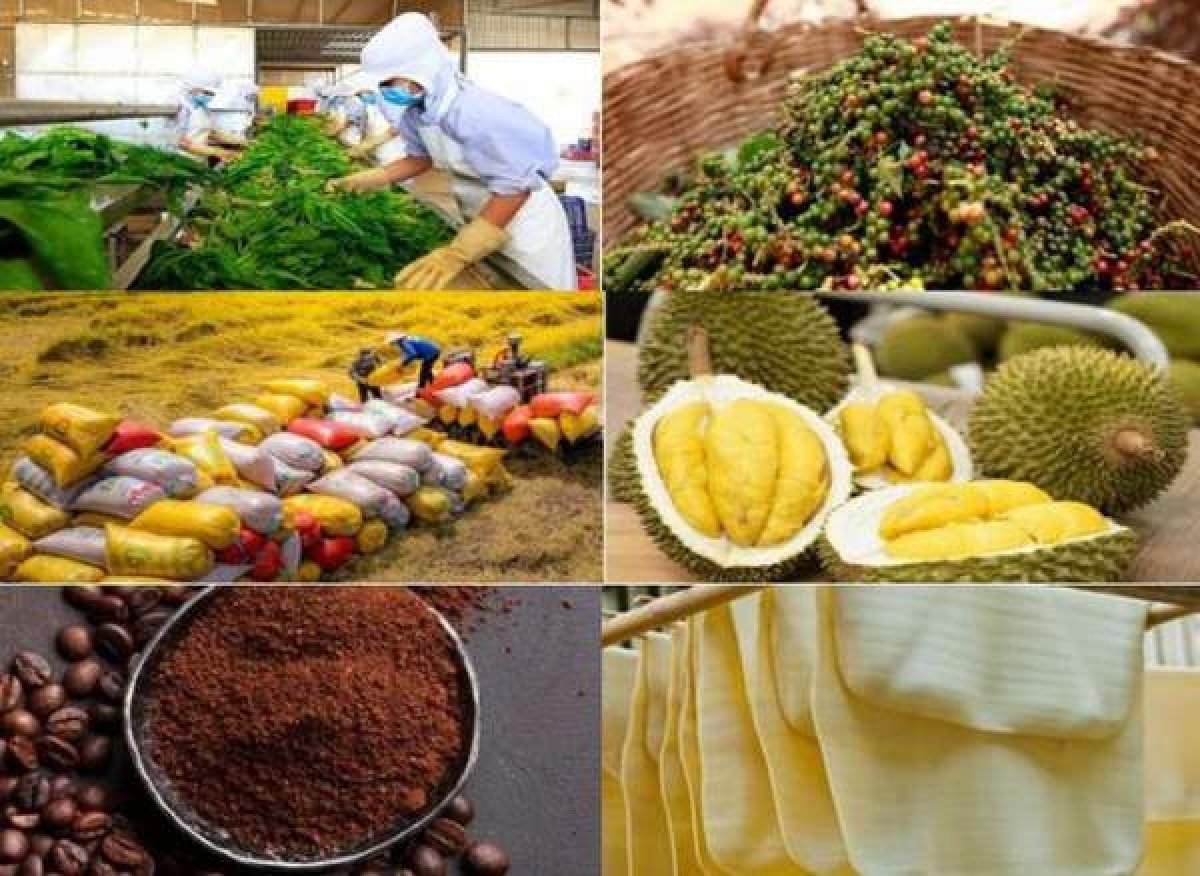 2 Da Tang Truong Hien Tai Mo Ra Kha Nang Xuat Nhap Khau Viet Nam Vuot Moc 1000 Ty Usd Trong Nam 2026