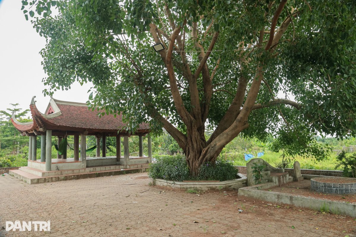 2 Ngoi Lang Ha Noi Gay Sot Trong Phim Dat Va Nguoi 24 Nam Truoc Gio Ra Sao