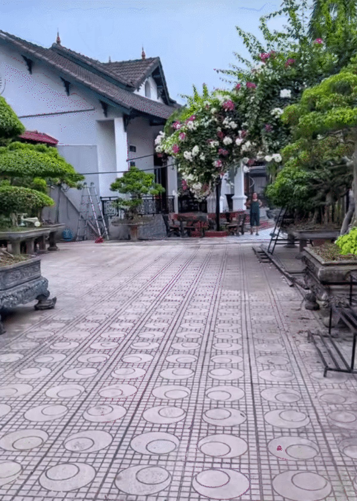 2 4 The He Hon 20 Nguoi Song Chung Tren Manh Dat 3000m2 O Ha Noi Nguoi Phu Nu Cam Can Nay Muc Khien Ca 4 Nang Dau Ne Phuc