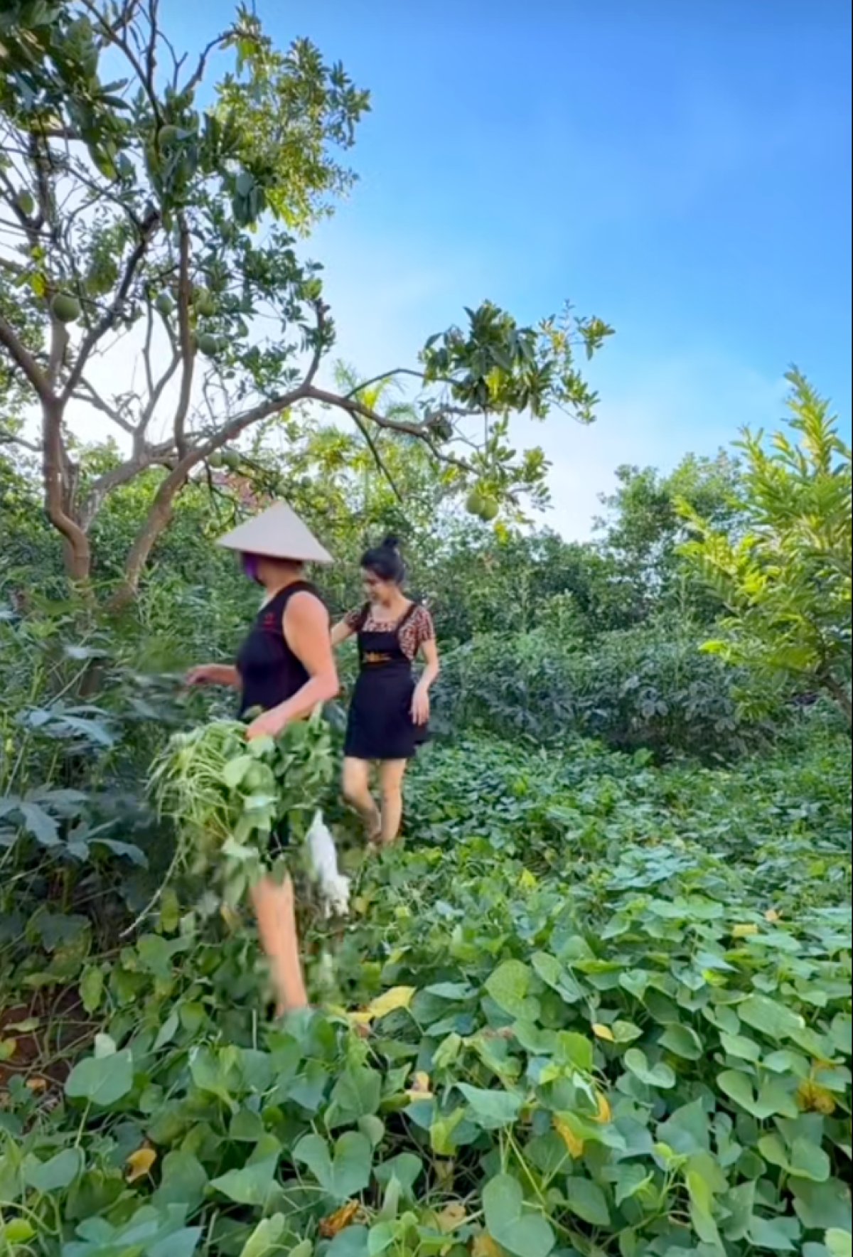 5 4 The He Hon 20 Nguoi Song Chung Tren Manh Dat 3000m2 O Ha Noi Nguoi Phu Nu Cam Can Nay Muc Khien Ca 4 Nang Dau Ne Phuc