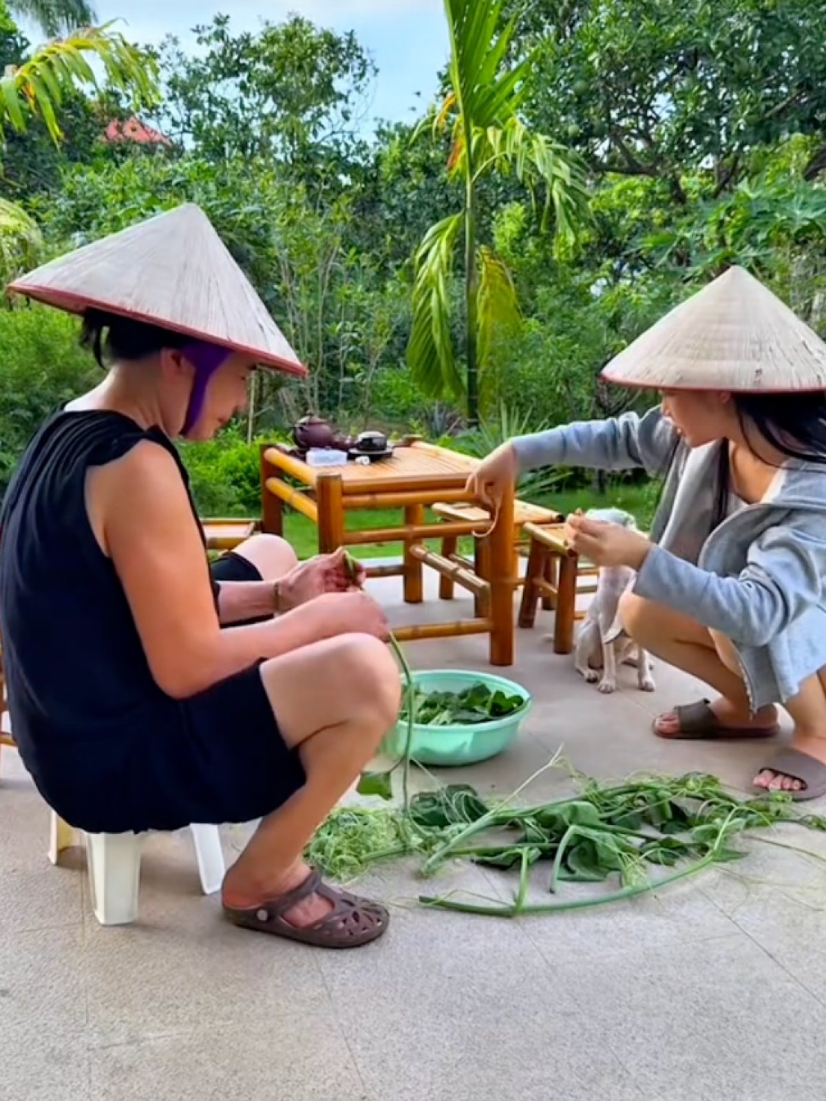 6 4 The He Hon 20 Nguoi Song Chung Tren Manh Dat 3000m2 O Ha Noi Nguoi Phu Nu Cam Can Nay Muc Khien Ca 4 Nang Dau Ne Phuc