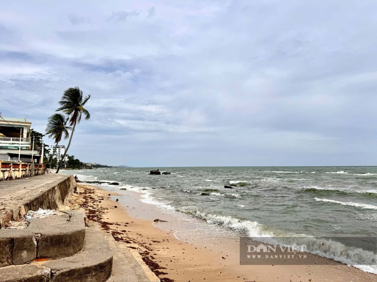 3 Bi Thu Dac Khu Phu Quoc Dinh Van Noi Ngung Cung Cap Dien Nuoc Vien Thong Rut Giay Phep Cac Co So Kinh Doanh Vi Pham