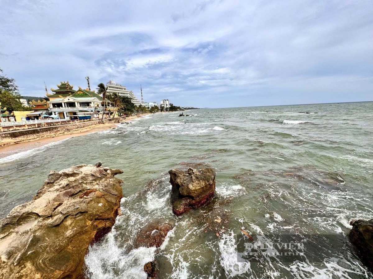4 Bi Thu Dac Khu Phu Quoc Dinh Van Noi Ngung Cung Cap Dien Nuoc Vien Thong Rut Giay Phep Cac Co So Kinh Doanh Vi Pham