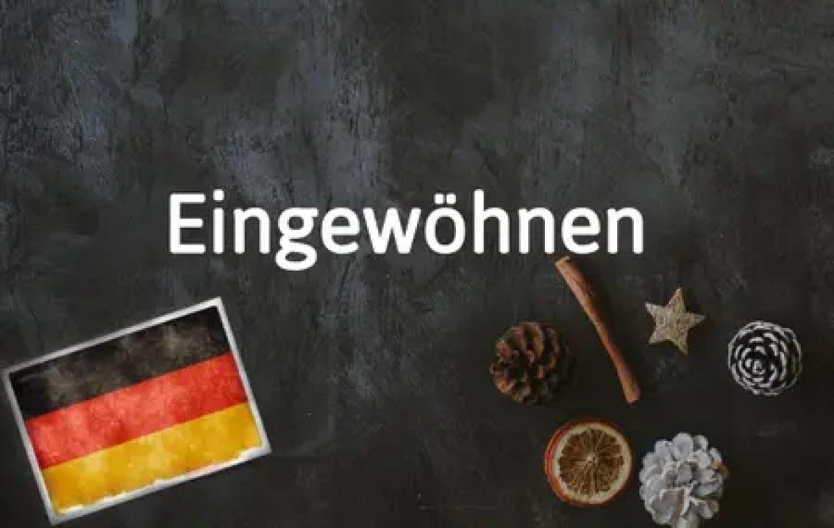 1 Eingewohnen Tu Tieng Duc Dien Ta Cam Giac Hoa Nhap Sau Ky Nghi