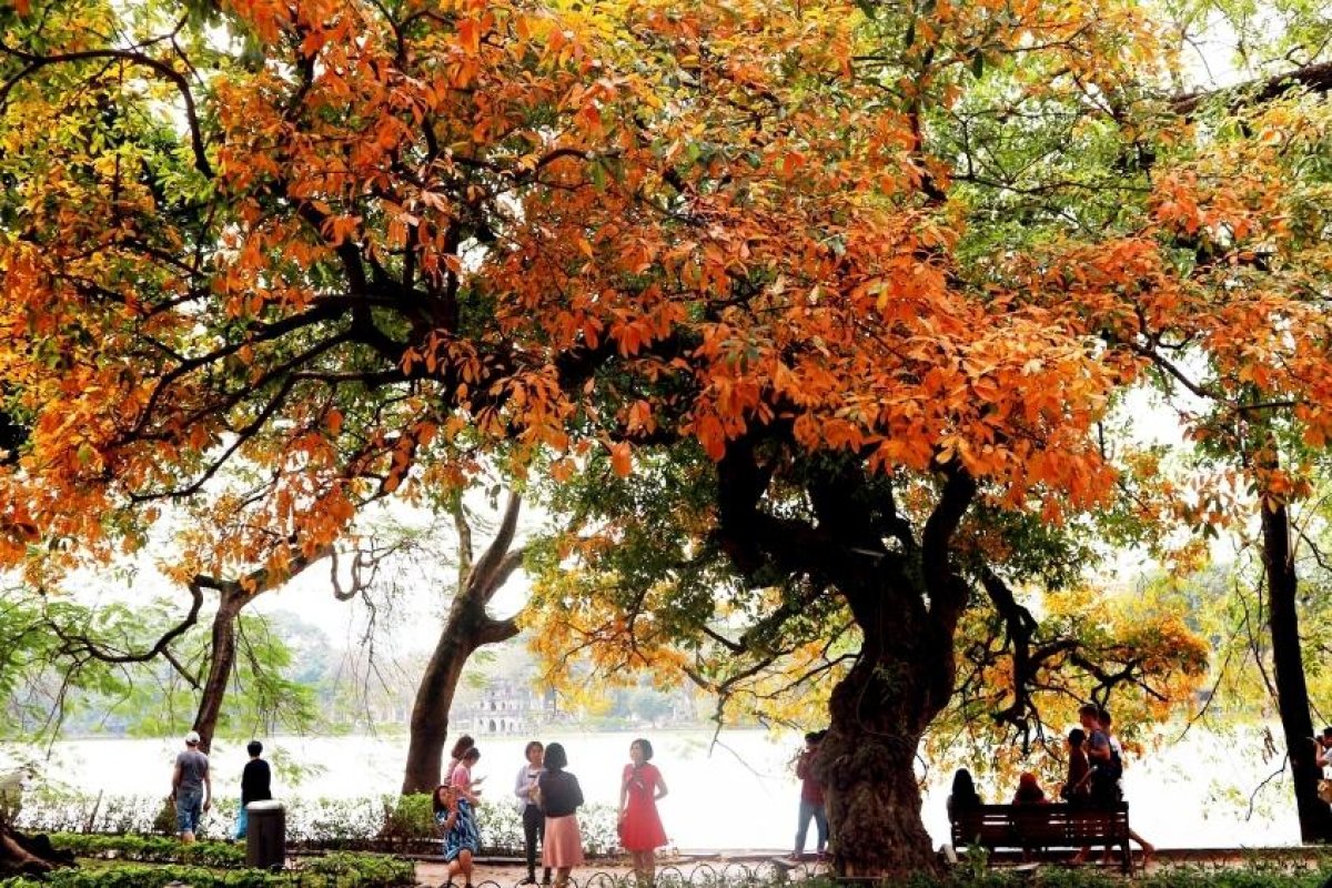 3 Ha Noi Co Hang Tram Cai Ho Nhung Nguoi Ha Noi Chi Can Noi Ra Bo Ho La Ai Cung Hieu