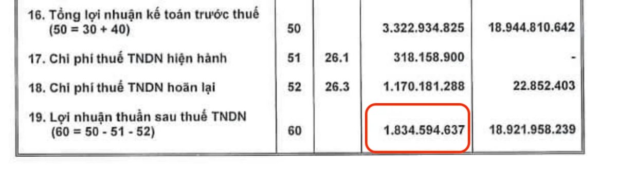 3 Nhieu Doanh Nghiep Bat Dong San Bao Loi Nhuan Boc Hoi Khoan Lo Phinh To Sau Soat Xet