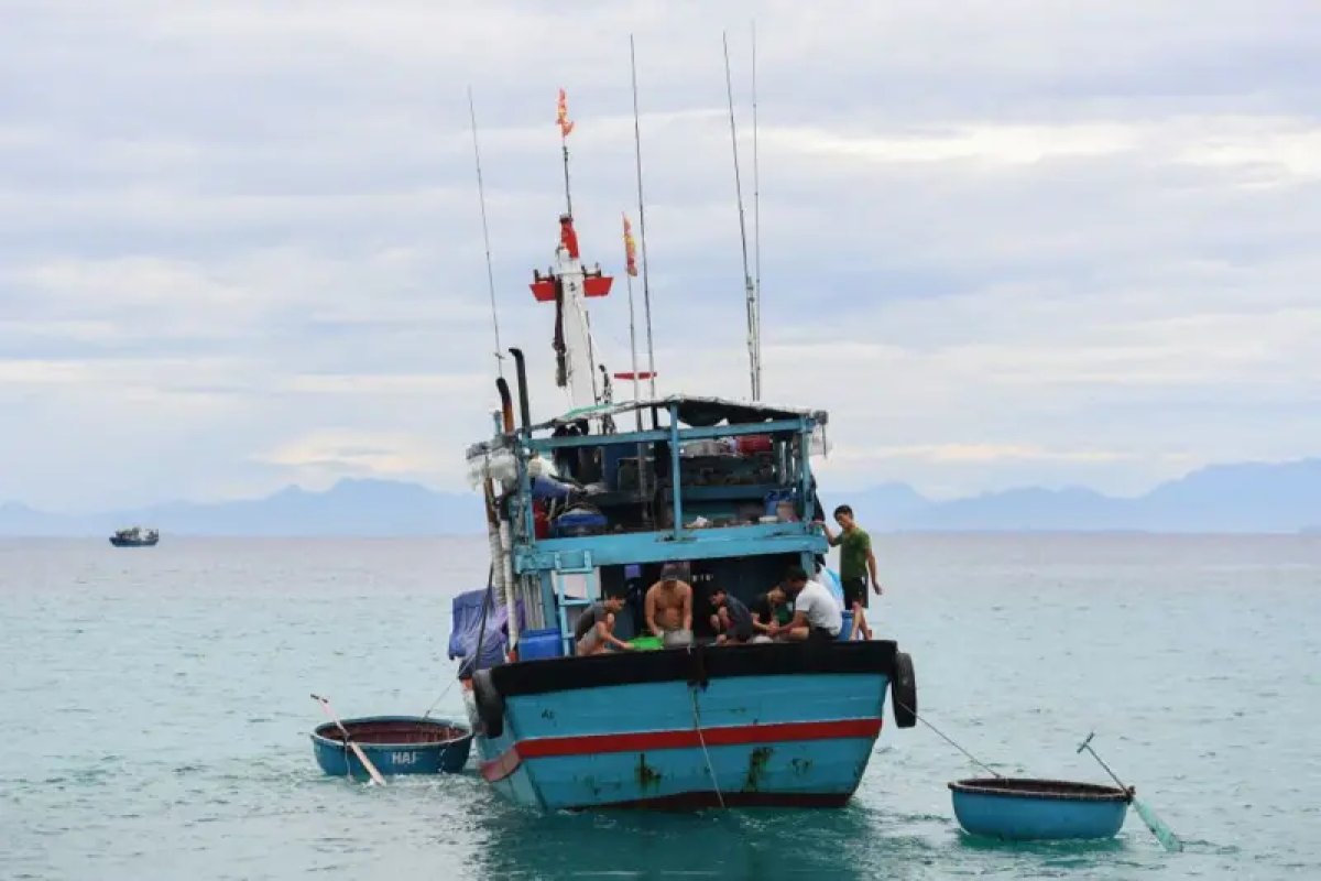 4 Hang Tram Tau Ca Trung Quoc Hoat Dong Ngoai Khoi Quang Ngai Bac Kinh Muon Gi