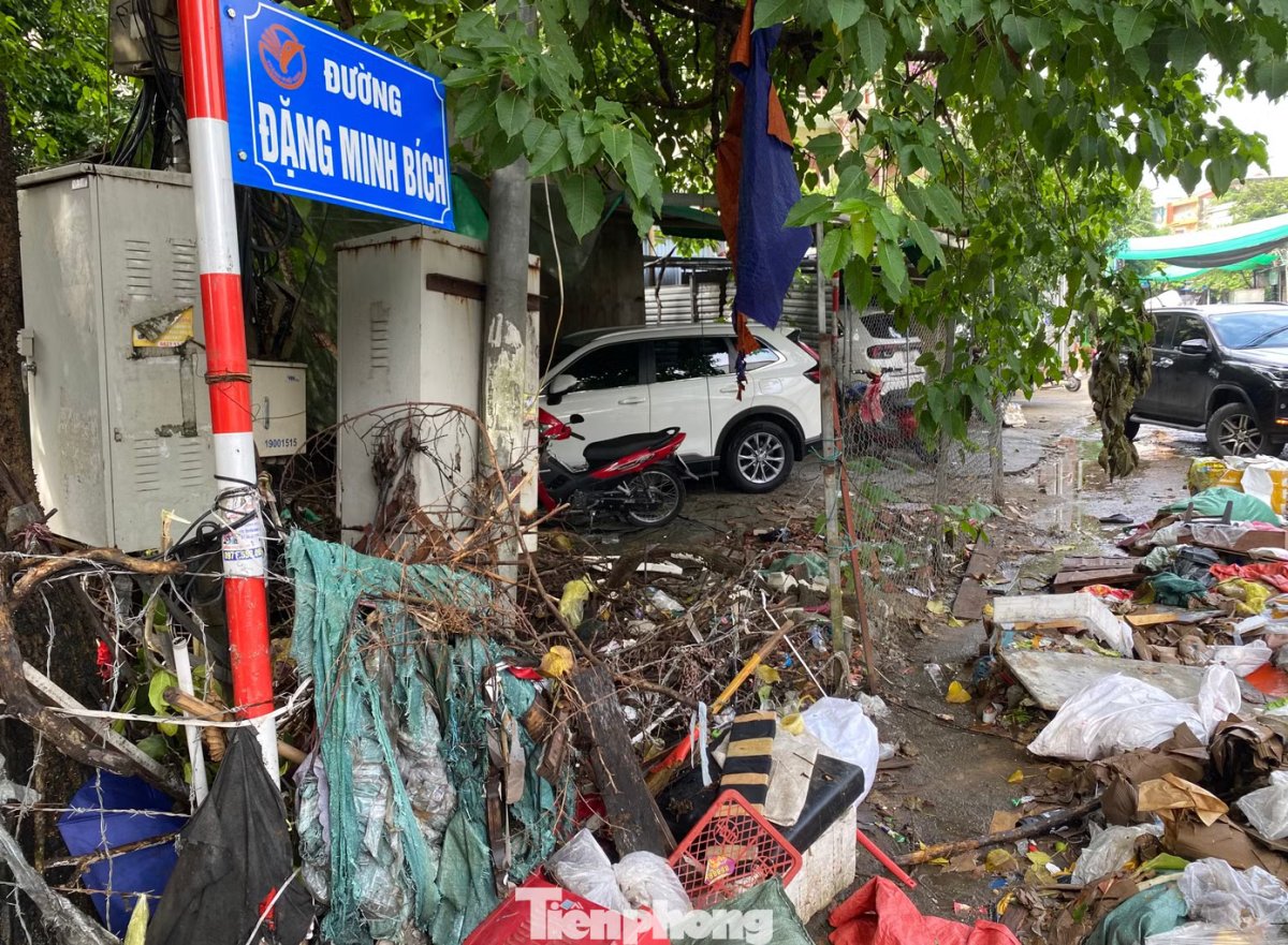 9 Cho Vinh Con Gi Sau Tran Dai Hong Thuy 41 Nam