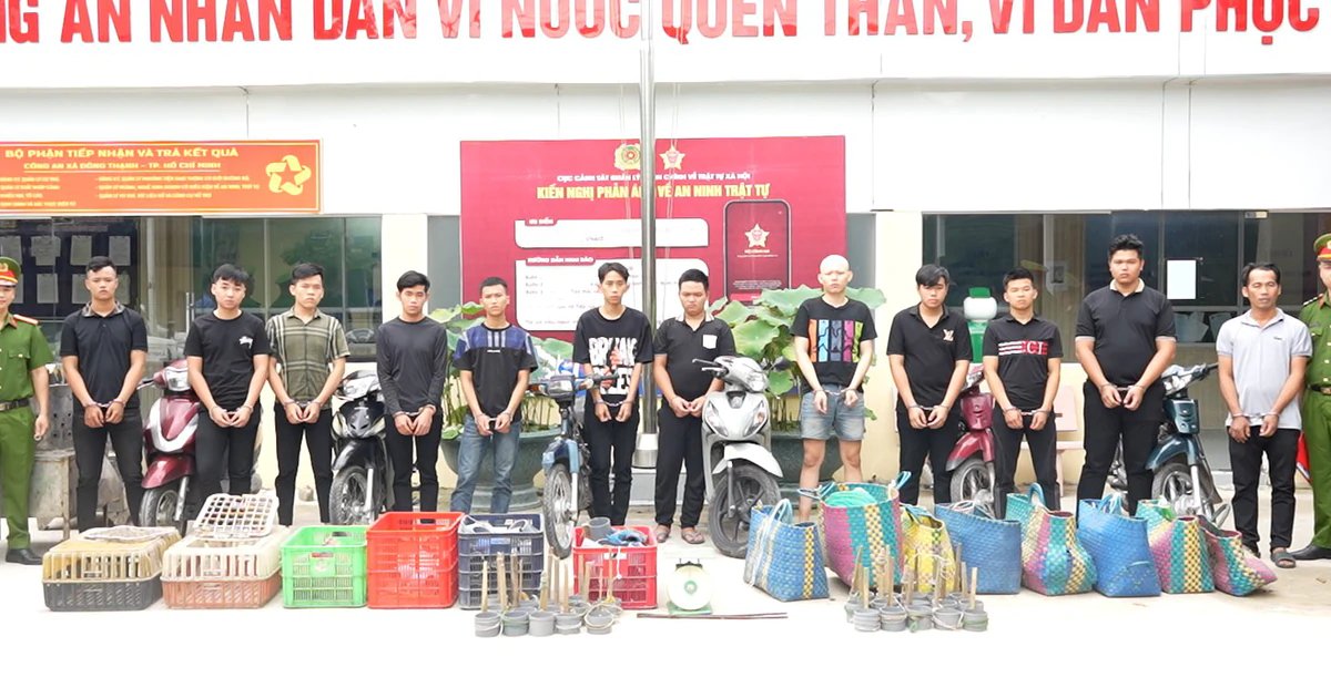 2 Trom 2700 Con Meo O Tphcm Nhom Doi Tuong Bi Bat Khoi To