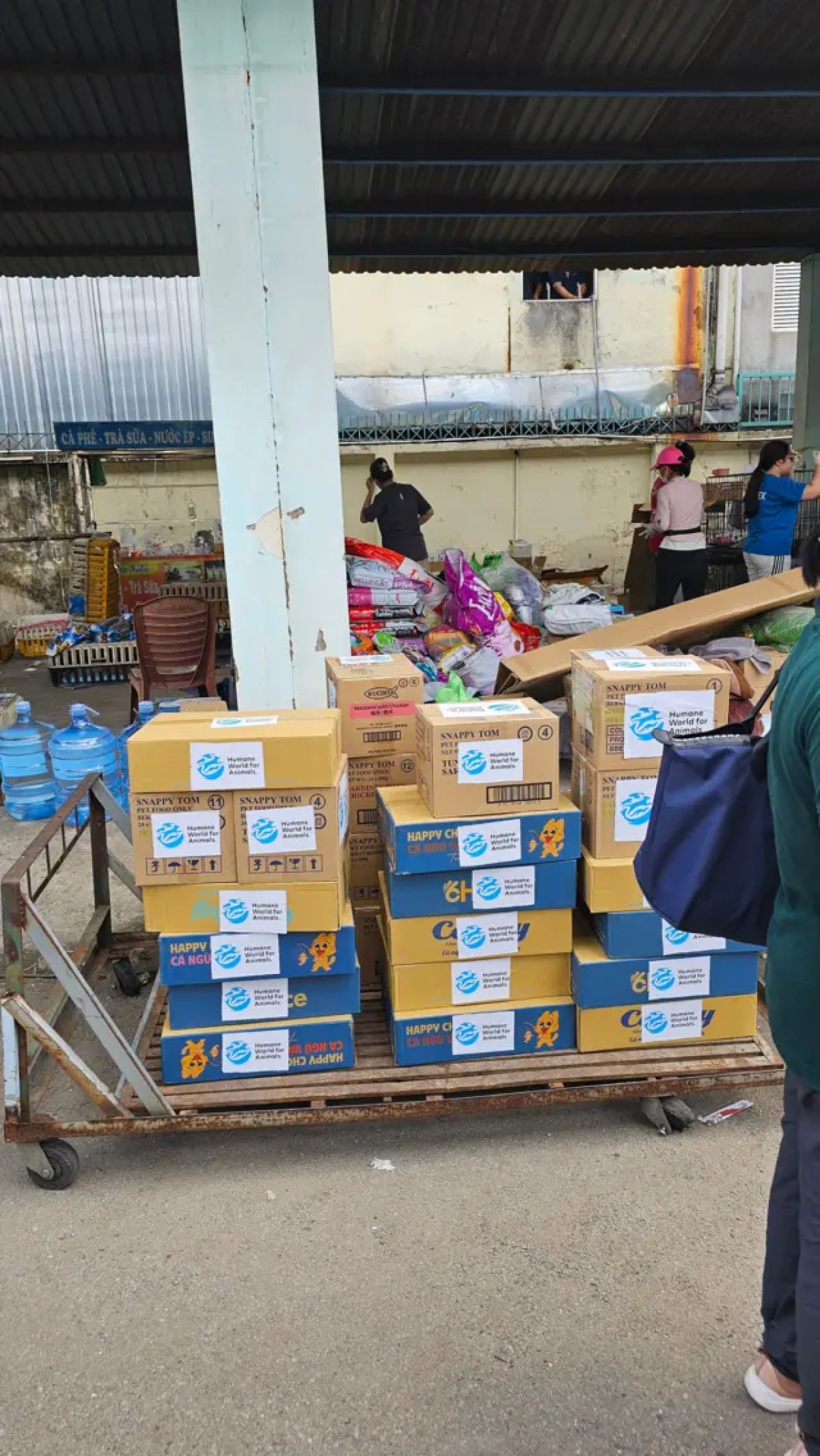 5 Trom 2700 Con Meo O Tphcm Nhom Doi Tuong Bi Bat Khoi To