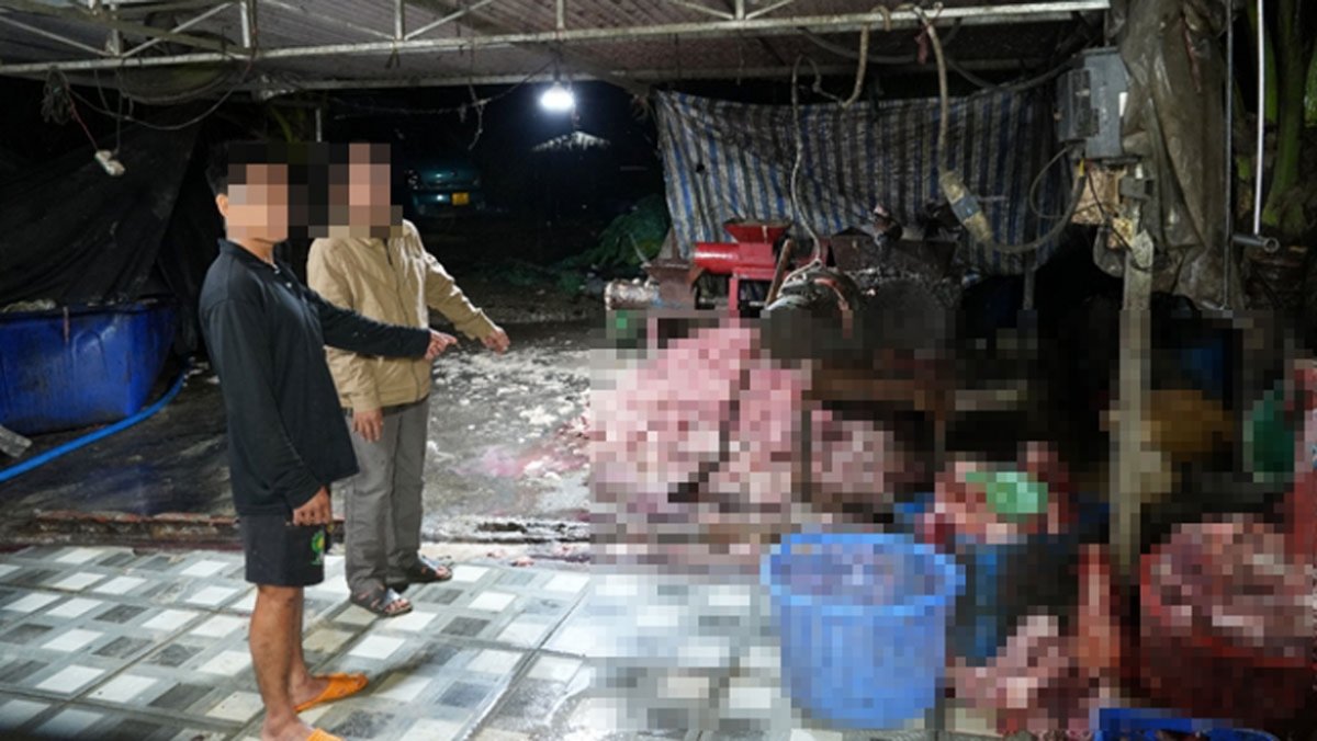 1 Dong Nai Triet Pha Duong Day Tieu Thu 400 Tan Heo Benh Heo Chet Nhiem Dich Ta Heo Chau Phi