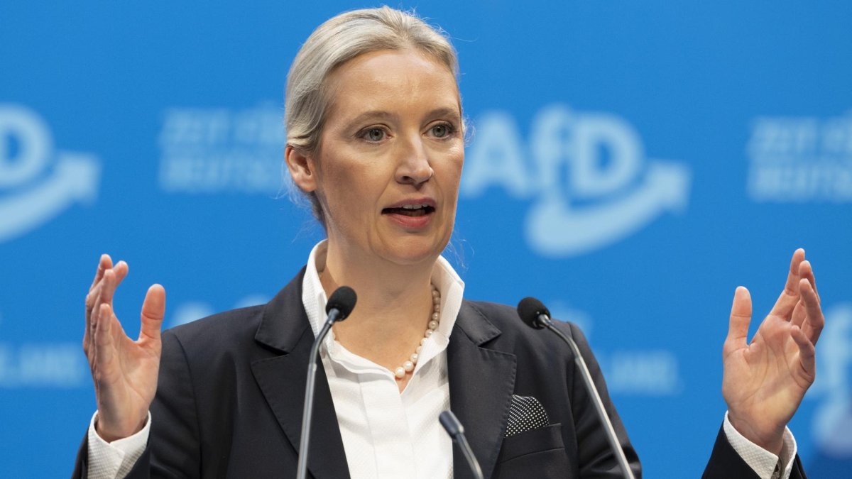 1 Alice Weidel Bi Nghi Biet Som Ve Khoan Quyen Gop Bat Hop Phap Tu Thuy Si